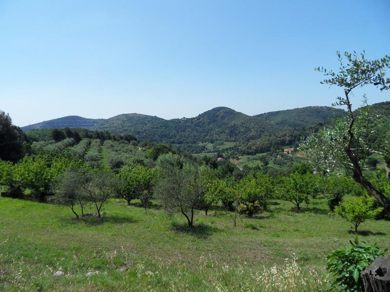 Agriturismo Spazzavento Vecchiano Exterior foto