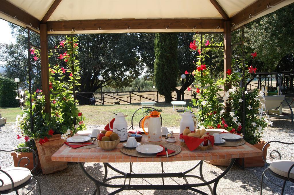 Agriturismo Spazzavento Vecchiano Exterior foto